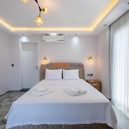 Villa Aydin *